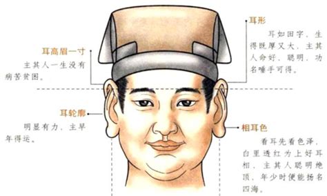 佛耳面相|面相入门